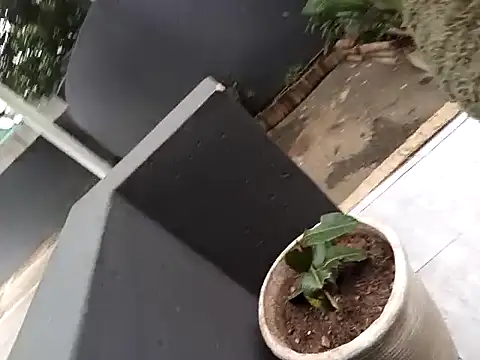 cutehoney92 - CuteHoney92's free webcam - UK Sex Cams