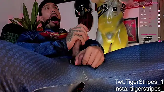 TigerStripes1_ webcam