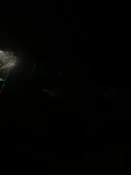 Preview of dave_5518