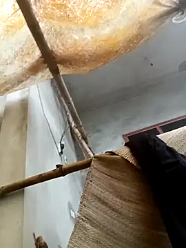 hoa-tuylip (F teen) - Ủng hộ mình