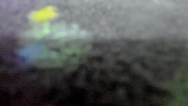 AishaRouhi live sex cam