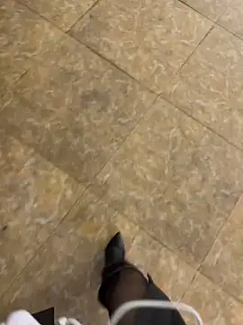 美女petoys在线直播