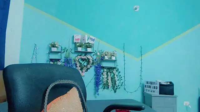 Preview of nickyribeiro