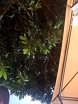 kitty_roouse (F teen) - #affordable-cam2cam #ahegao #big-tits #big-tits-blowjob #big-tits-brunettes #big-tits-deepthroat #big-tits-doggy-style #big-tits-handjob #big-tits-latin #big-tits-petite #big-tits-teens #big-tits-titty-fuck #blowjob #blowjob-ahegao #blowjob-teens #brunettes #brunettes-blowjob #brunettes-petite #brunettes-teens #cam2cam #camel-toe #cheap-privates #cheap-privates-latin #cheap-privates-teens #cock-rating #colombian #colombian-petite #colombian-teens #cosplay #cosplay-teens #deepthroat #deepthroat-blowjob #deepthroat-teens #dildo-or-vibrator #dildo-or-vibrator-big-tits #dildo-or-vibrator-deepthroat #dildo-or-vibrator-teens #dirty-talk #doggy-style #erotic-dance #facial #fingering #fingering-latin #fingering-teens #foot-fetish #foot-fetish-teens #handjob #handjob-teens #heels #humiliation #jerk-off-instruction #latin #latin-blowjob #latin-deepthroat #latin-doggy-style #latin-foot-fetish #latin-masturbation #latin-teens #lesbians #masturbation #masturbation-teens #mobile #mobile-teens #nipple-toys #oil-show #orgasm #outdoor #petite #petite-latin #petite-teens #recordable-privates #recordable-privates-teens #recordable-publics #role-play #role-play-teens #sex-toys #sexting #small-audience #smoking #spanish-speaking #spanking #squirt #squirt-latin #squirt-teens #striptease #striptease-latin #striptease-teens #student #teens #titty-fuck #topless #topless-latin #topless-teens #trimmed #trimmed-latin #trimmed-teens #twerk #twerk-latin #twerk-teens