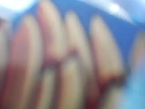 laco-co - Laco-cO's free webcam