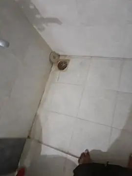 Hairy Twink (Hairy_TWINK_)