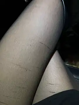 美女petoys在线直播