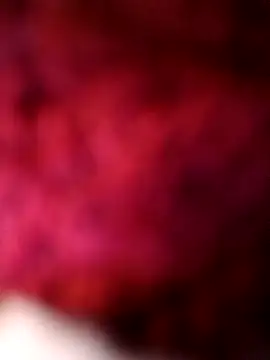 Preview of bimexpoexist