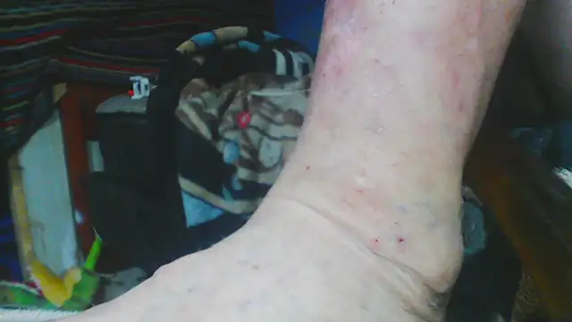 Preview of bobbybullit