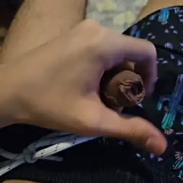 Preview of anonymoustwinkie