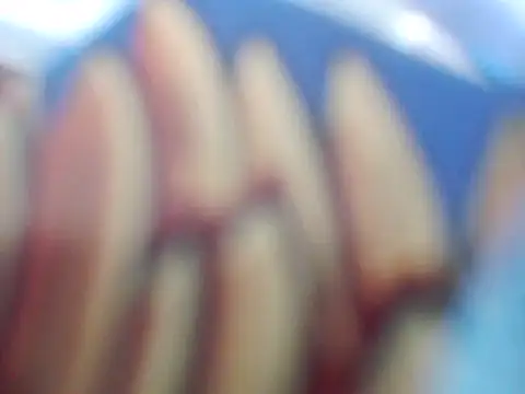 laco-co - Laco-cO's free webcam