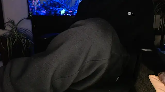 Preview of espanolvato