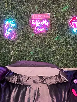 Preview of renathickass