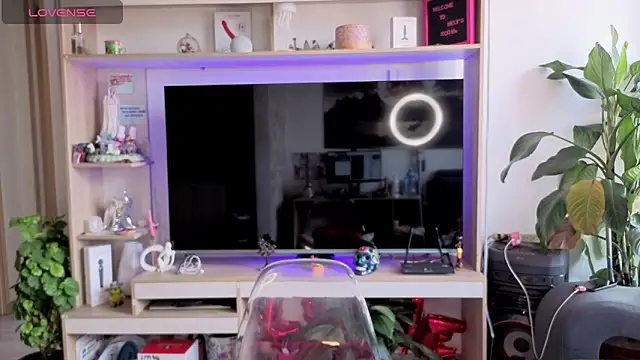 Preview of melisa_es