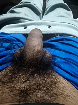 aaia93 (M young) - Paja