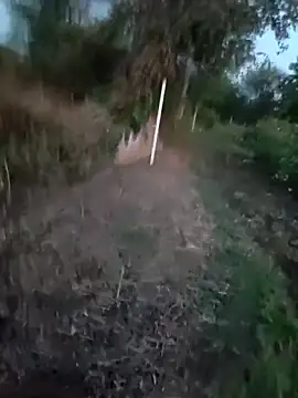 himvilohi08 (M young) - 1000