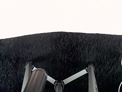 Preview of tatoo_noah