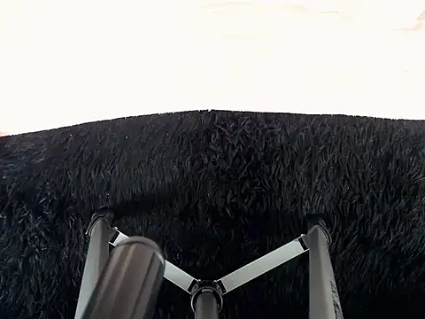 Preview of tatoo_noah