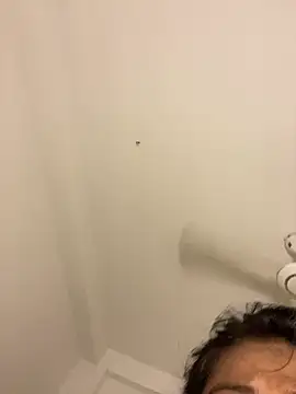 Webcam Model (Anjelina__Jolie__)  is live.Free join now!