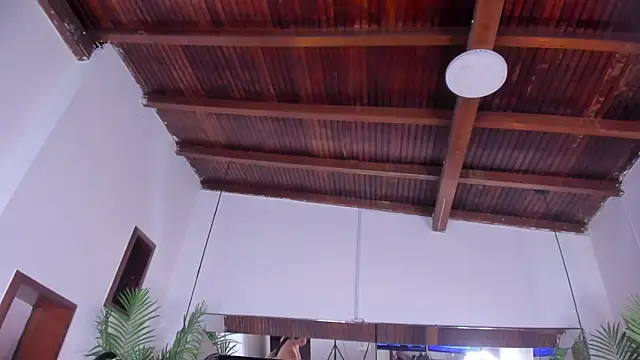 emily-fox - Emily-fox's free webcam - UK Sex Cams