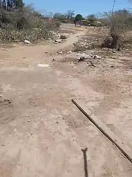 Preview of daniela_fox1