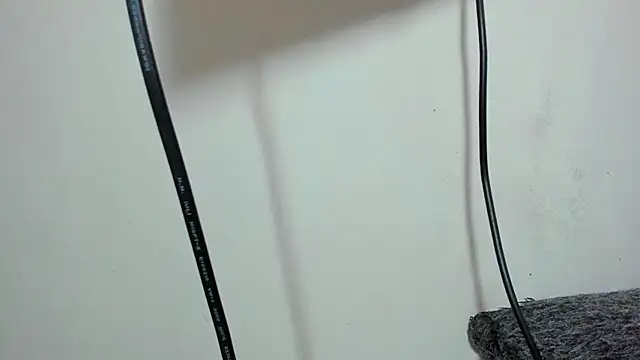 Preview of zeusbrant