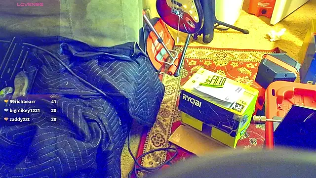 Preview of domedoggynow