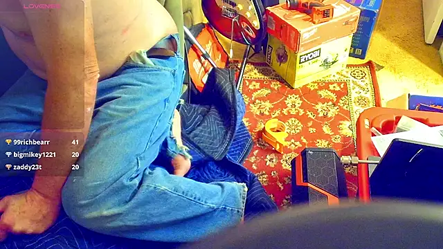 Preview of domedoggynow