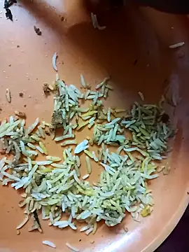 hyderabad_single - Hyderabad_single's free webcam - UK Sex Cams