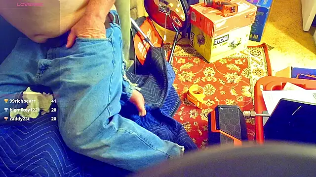 Preview of domedoggynow