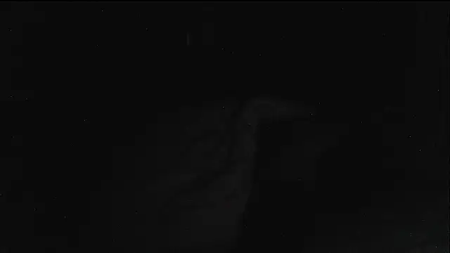 hebe-02 live sex cam