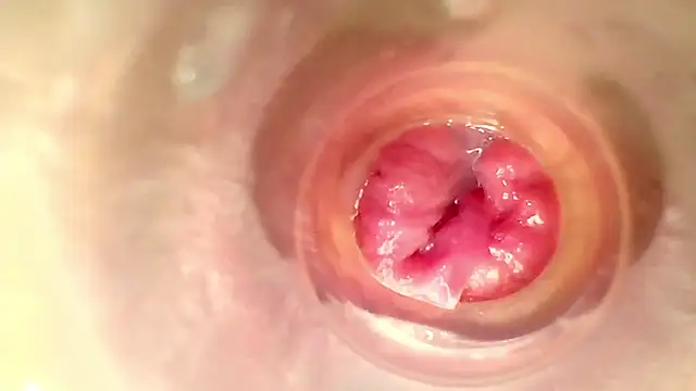 Preview of karol_kane