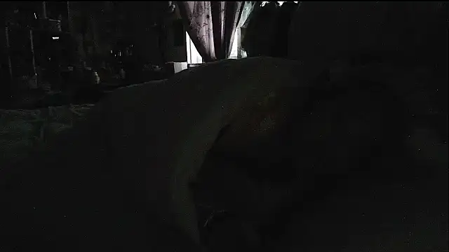 hebe-02 live sex cam