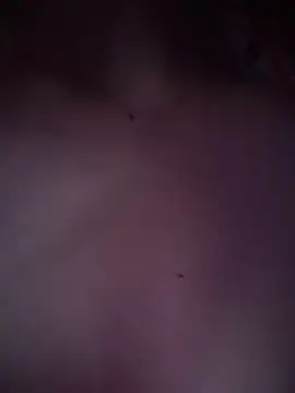 Preview of maaddy_ls