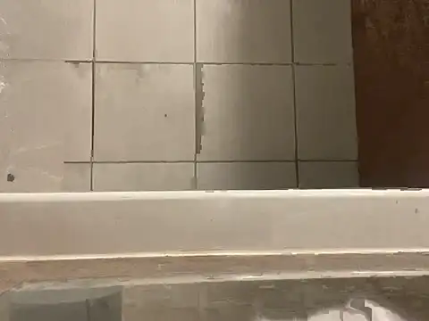 Preview of backshort11