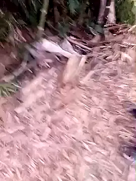 vea_m - Vea_m's free webcam - UK Sex Cams