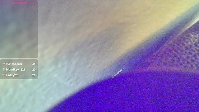 Preview of domedoggynow