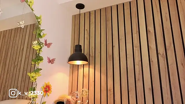 sofiesoft - Sofiesoft's free webcam