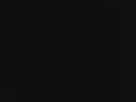 novilho18piroc avatar