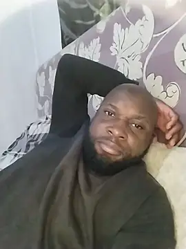 Preview of stallion100