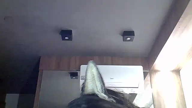 Preview of skinnykitten