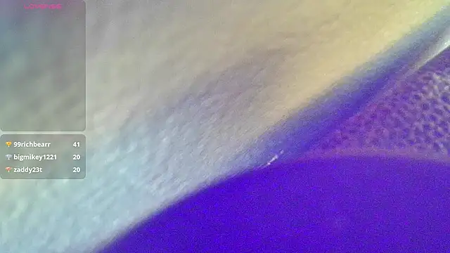 Preview of domedoggynow