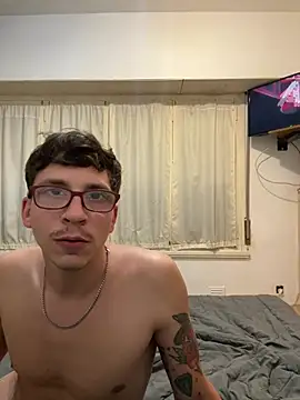 Preview of stefystevis