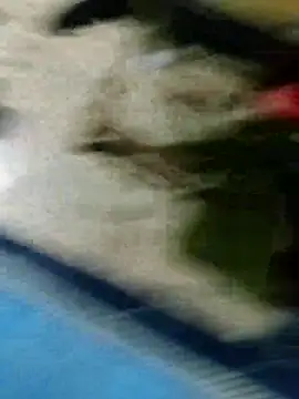 Preview of morbosnif