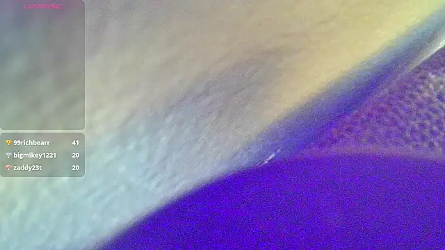 Preview of domedoggynow