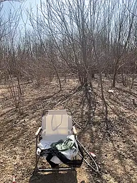 美女goudanlove在线直播