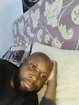 Preview of stallion100