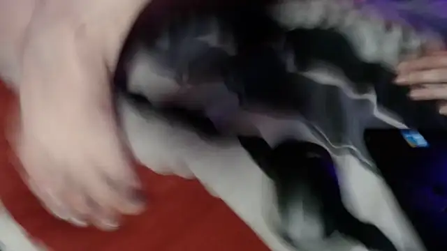 vixengoddess696 - Vixengoddess696's free webcam - UK Sex Cams