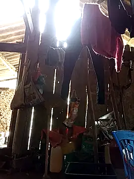 aiai220 - Aiai220's free webcam