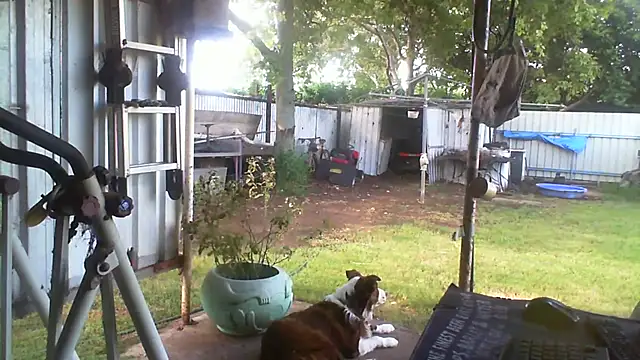 Preview of herbie010666